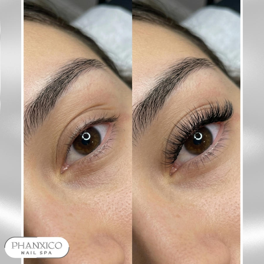 Eyelashes - eyebrows 